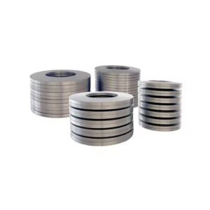 nerūsējošā tērauda Belleville atsperu paplāksnes