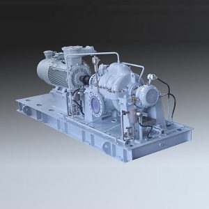 aksiāli sadalīts centrbēdzes sūknis