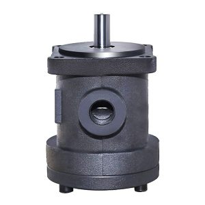 lāpstiņsūkņi ar nemainīgu darba tilpumu